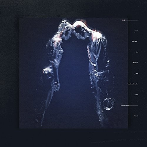 The Naked: Zone - (VINYL LP)