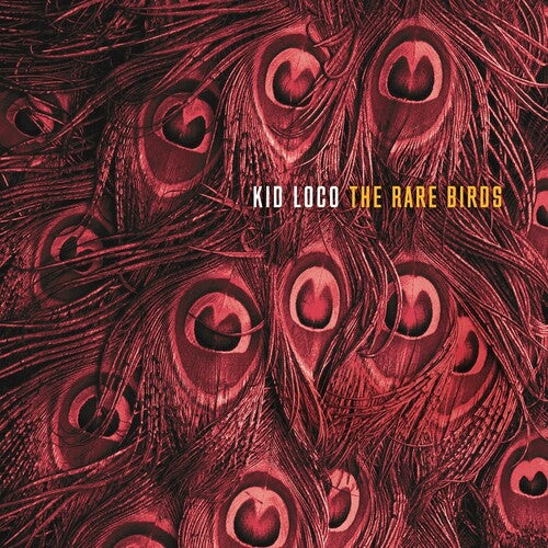 Kid Loco: The Rare Birds - (VINYL LP)