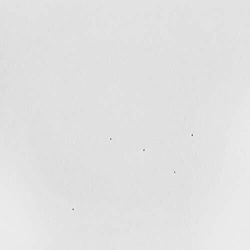Todd Anderson-Kunert: Conjectures - (VINYL LP)