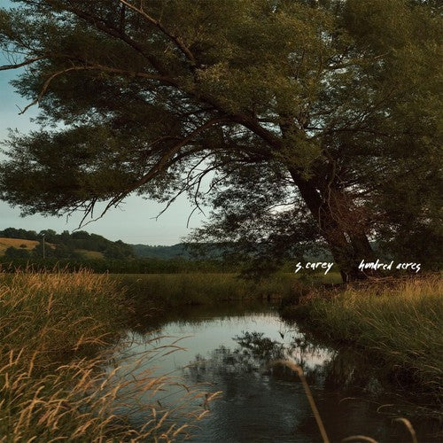S Carey: Hundred Acres - (VINYL LP)
