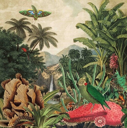 Lagoss: Imaginary Island Music Vol. 1: Canary Islands - (VINYL LP)