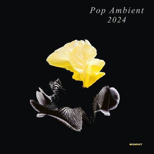 Various Artists: Pop Ambient 2024 - (VINYL LP)