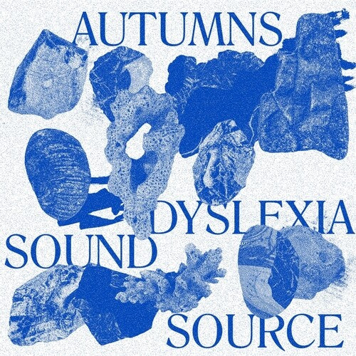 The Autumns: Dyslexia Sound Source - (VINYL LP)