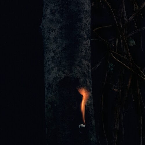 Bzdb: Jump Ship, Sit Lean, Be Still, Stand Tall - (VINYL LP)