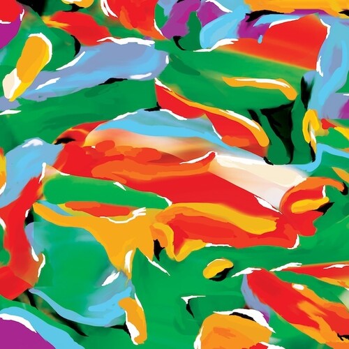 Auntie Flo: Birds Of Paradise - (VINYL LP)