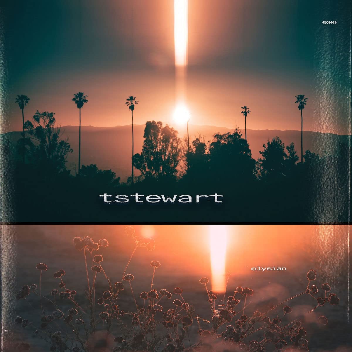 Tstewart: Elysian - (VINYL LP)