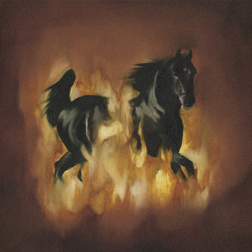 The Besnard Lakes: The Besnard Lakes Are The Dark Horse - (VINYL LP)