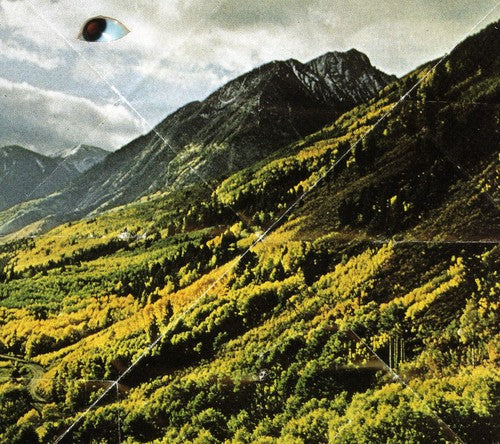 Woods: Songs of Shame - (VINYL LP)