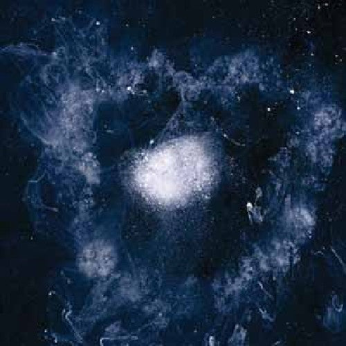 Swans: My Father Will Guide Me Up a Rope to the Sky - (VINYL LP)