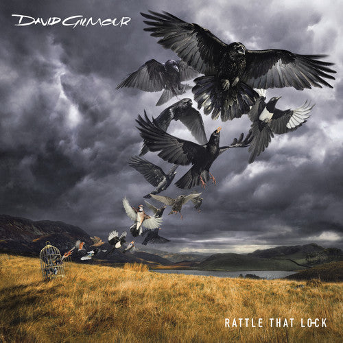 David Gilmour: Rattle That Lock - COMPACT DISCS