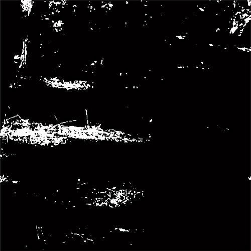 Nax_Acid: Abyssal - 12-INCH SINGLE