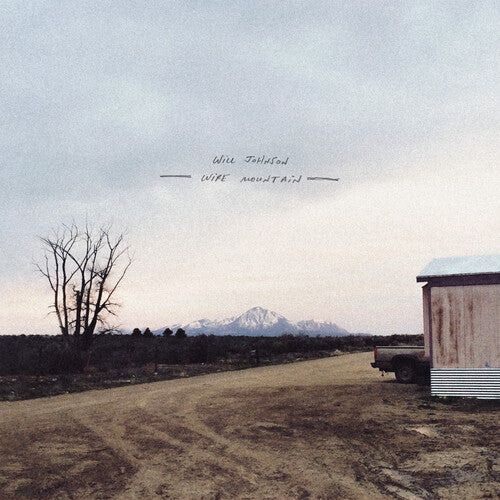Will Johnson: Wire Mountain - (VINYL LP)