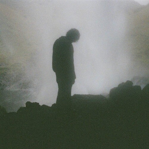 Palmistry: Afterlife - (VINYL LP)