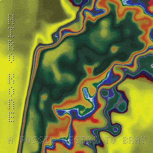 Hiro Kone: A Fossil Begins To Bray - (VINYL LP)