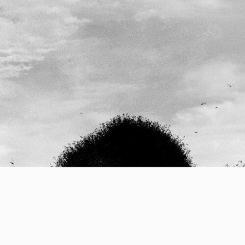 Chihei Hatakeyama: Forgotten Hill - (VINYL LP)