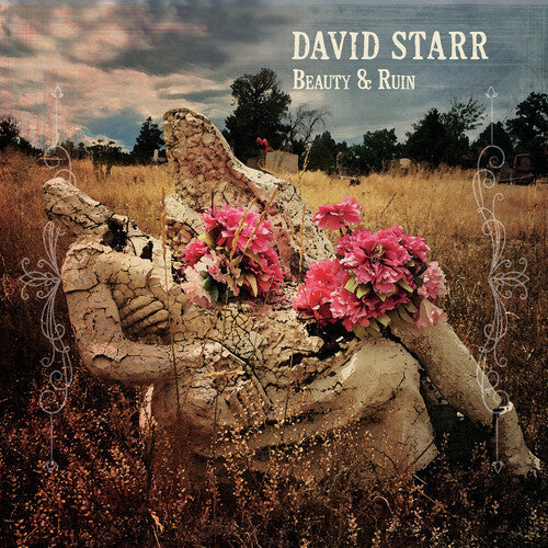 David Starr: Beauty & Ruin - (VINYL LP)