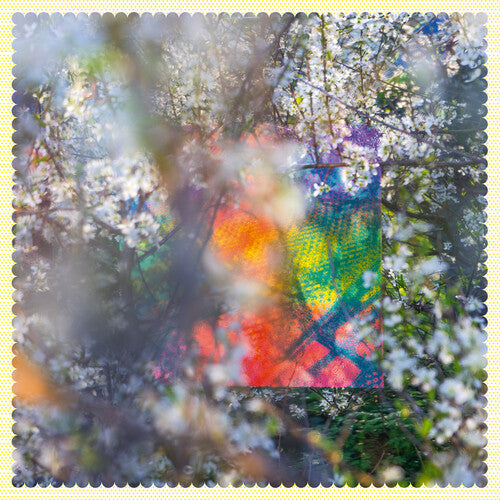 Four Tet: Sixteen Oceans - (VINYL LP)