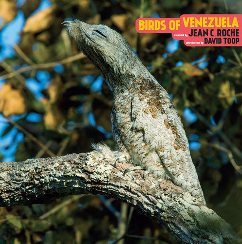 Roche, Jean C: Birds Of Venezuela - (VINYL LP)
