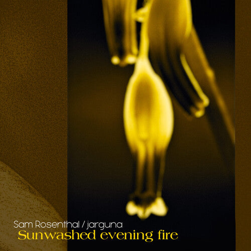 Sam Rosenthal: Sunwashed Evening Fire - COMPACT DISCS