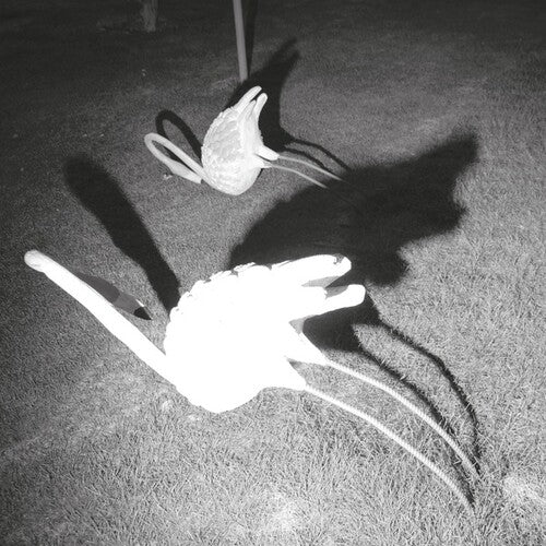 Siavash Amini: A Mimesis of Nothingness - (VINYL LP)