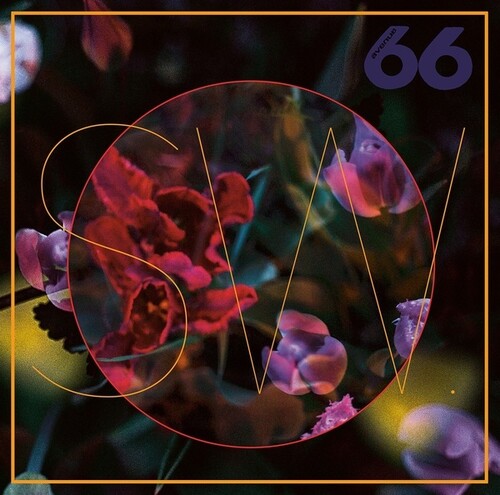 SW: blewLIPs - (VINYL LP)