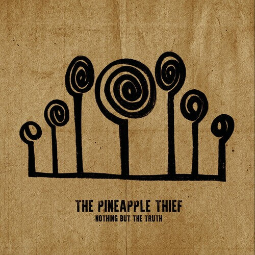 Pineapple Thief: Nothing But The Truth - (VINYL LP)