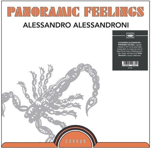 Alessandro Alessandroni: Panoramic Feelings - (VINYL LP)