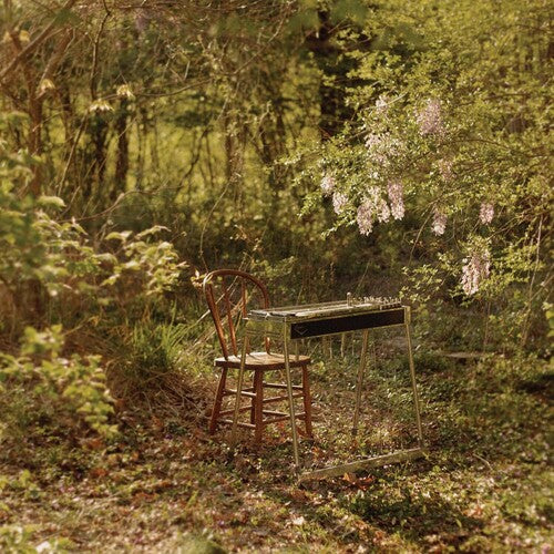 Luke Schneider: For Dancing In Quiet Light - (VINYL LP)
