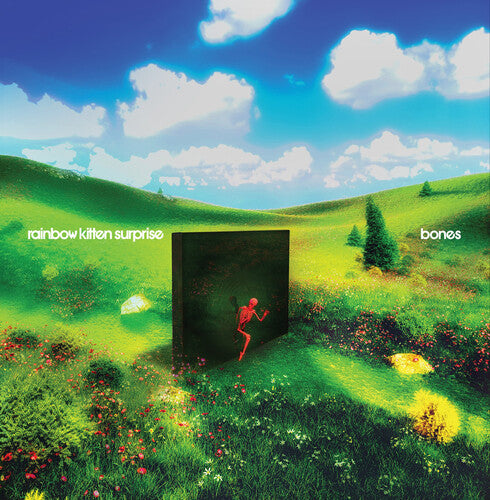 Rainbow Kitten Surprise: bones     (Black Vinyl) - (VINYL LP)