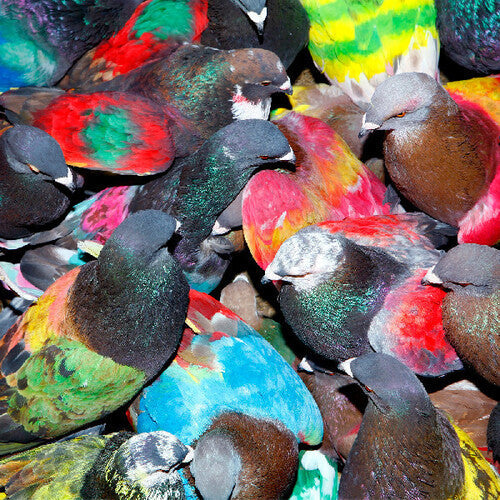 Blawan: Sickelixir - (VINYL LP)